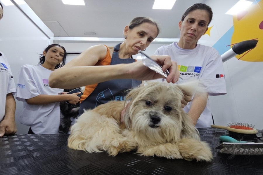 Andreia decidiu transformar o amor pelos animais em uma nova oportunidade de vida. Foto Divulgação - Governo de SP
