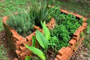 Horta em espiral: publicação da USP explica passo a passo para o cultivo de plantas em pequenos espaços