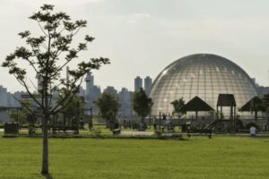 Summit SP+Verde terá coleta de eletrônicos que serão convertidos em mil mudas nativas de Mata Atlântica