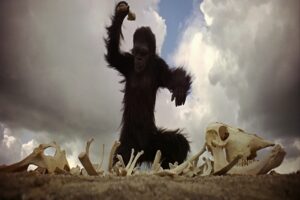 A humanidade em 8,2 bilhões de vozes: como seguimos avançando apesar de nós mesmos