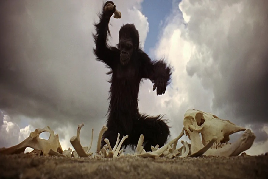 A humanidade em 8,2 bilhões de vozes: como seguimos avançando apesar de nós mesmos