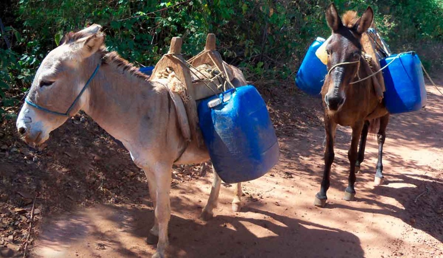Comércio ambulante de água sobrevive em muitos lugares do Brasil