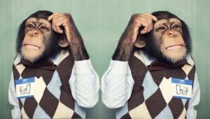 NÃO SEI. NÃO ENTENDI. – É preciso ter a honestidade intelectual e a coragem de dizer estas simples frases.