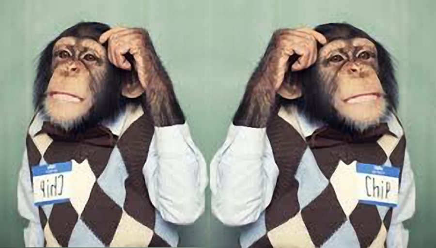 NÃO SEI. NÃO ENTENDI. – É preciso ter a honestidade intelectual e a coragem de dizer estas simples frases.