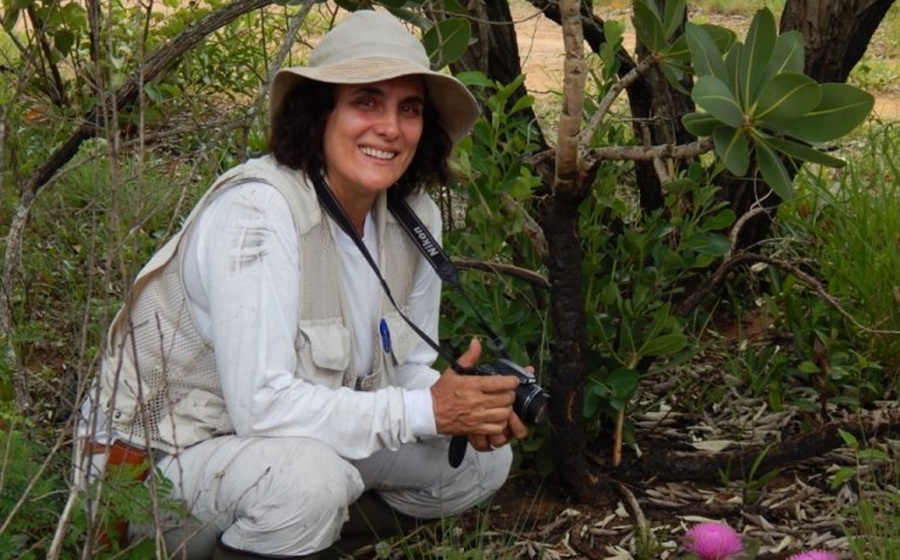 Pesquisadora do Instituto de Pesquisas Ambientais de SP está entre cientistas mais influentes do mundo pela quinta vez