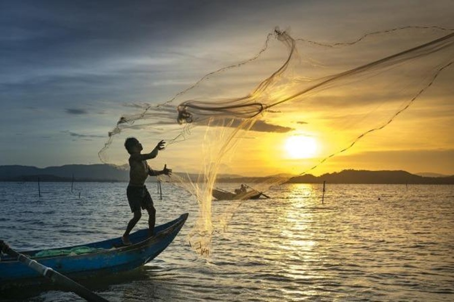 Proibição da pesca de espécies nativas começa neste sábado (1) no estado de SP; entenda