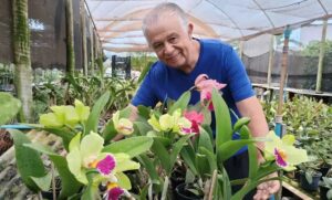 Aposentado transforma hobby em negócio e inspira novos empreendedores