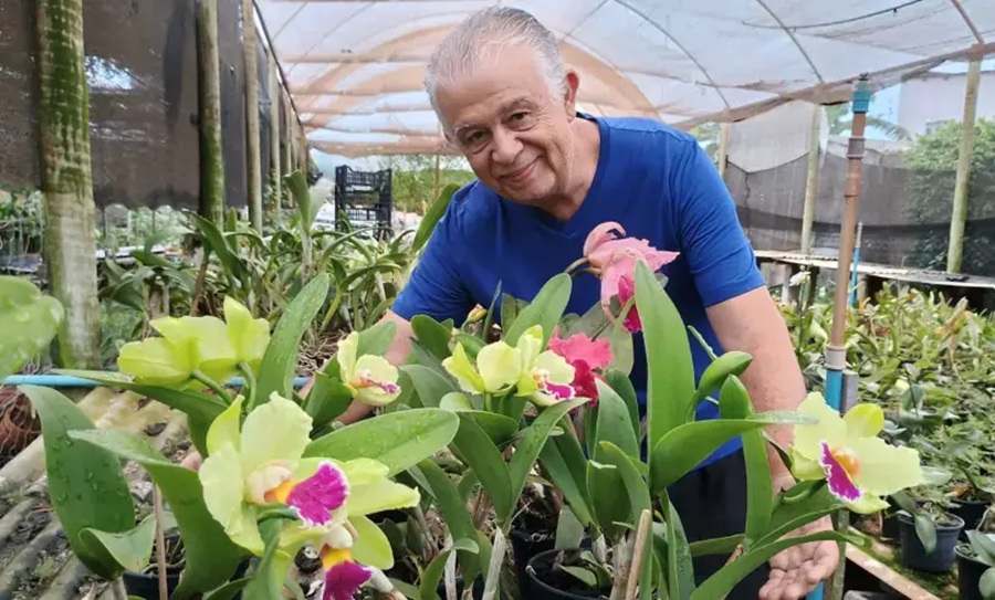 Aposentado transforma hobby em negócio e inspira novos empreendedores