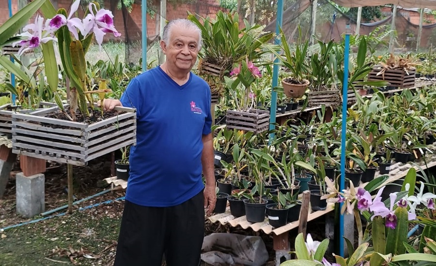 Passamos de uma simples coleção de orquídeas para um orquidário”, declarou João