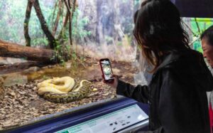 Férias em família: veja opções gratuitas de lazer, cultura e ciência em São Paulo