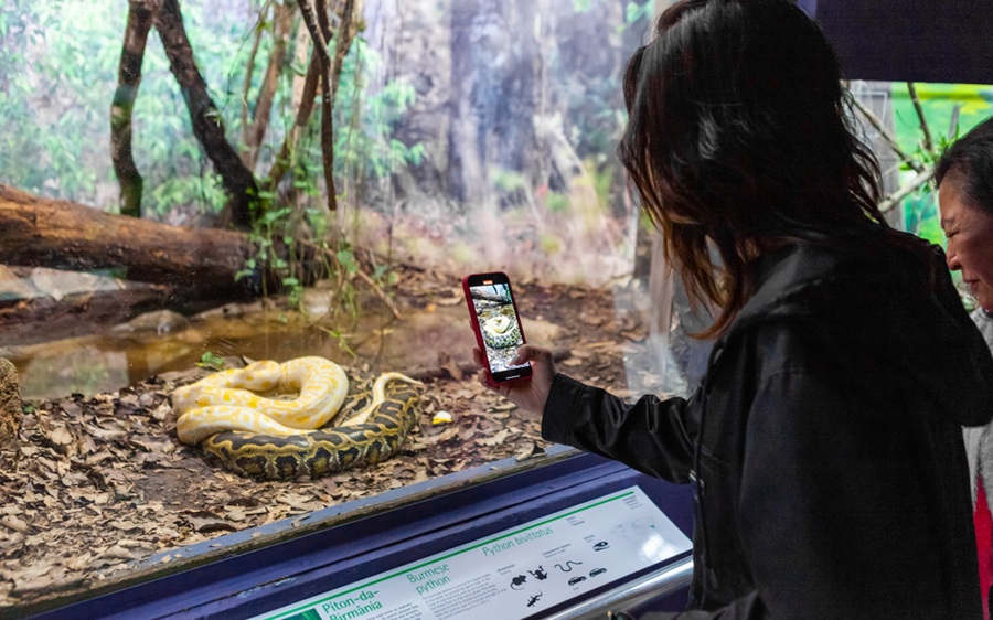 Férias em família: veja opções gratuitas de lazer, cultura e ciência em São Paulo