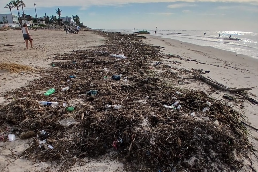 🌊 Litoral paulista tem 29 praias impróprias para banho nesta semana, aponta Cetesb