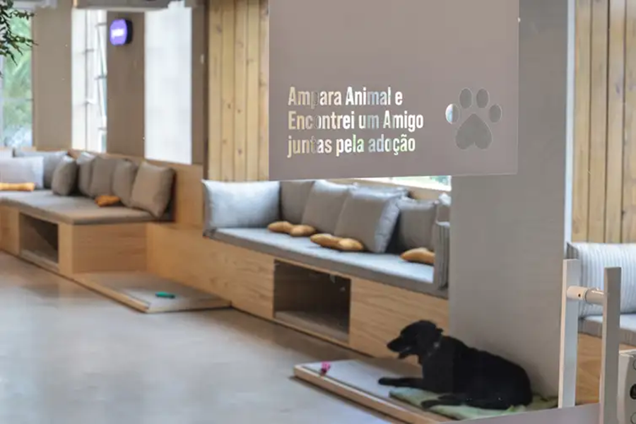 Adoção de pets na Casa Adote na Vila Madalena em parceria com o Instituto Ampara Animal e a ONG Encontrei um Amigo - Foto Paulo Pinto/Agência Brasil
