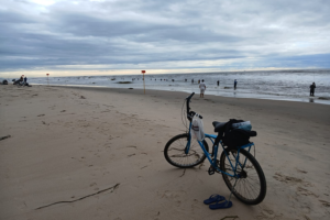 Férias saudáveis: veja aqui a qualidade da água na sua praia preferida antes de pegar a estrada