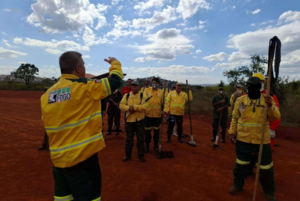 Fundação Florestal abre inscrições para 243 vagas de brigadistas com salários de até R$ 4 mil