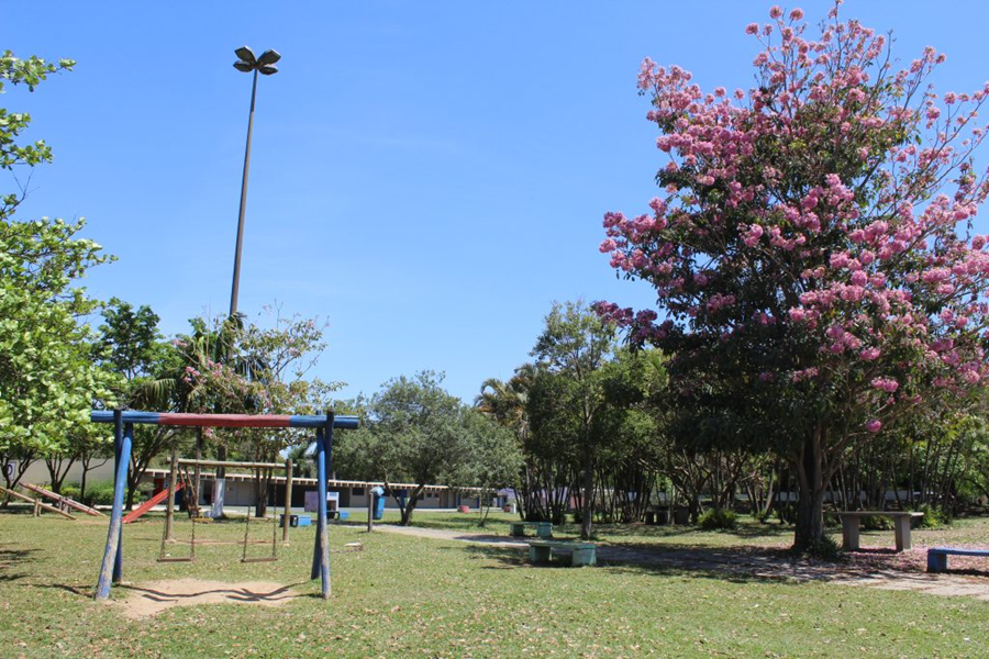 Parques estaduais urbanos de SP entram no ritmo do Carnaval com programação gratuita
