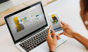 Golpes aumentam na hora do IR: conheça serviços de órgãos federais para se proteger