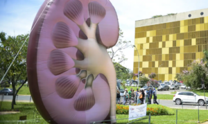 Dia Mundial do Rim alerta: doença silenciosa pode levar à falência renal se não for diagnosticada a tempo
