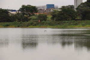 Parque Municipal Porto das Águas é fechado temporariamente ao público para manutenção