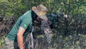 Governo de SP abre concurso público com 70 vagas para a Fundação Florestal