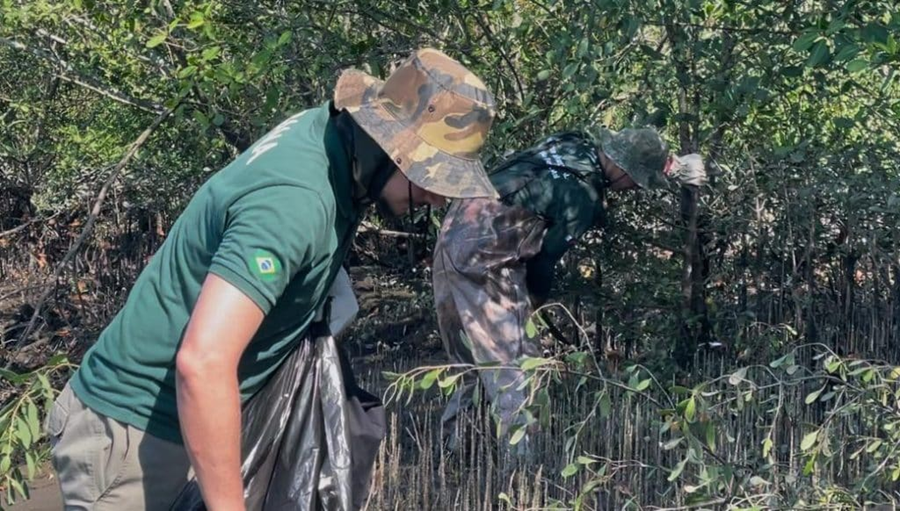 Governo de SP abre concurso público com 70 vagas para a Fundação Florestal
