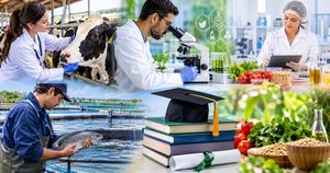 Pós-graduação gratuita? Institutos de SP abrem vagas para mestrado e doutorado no agro